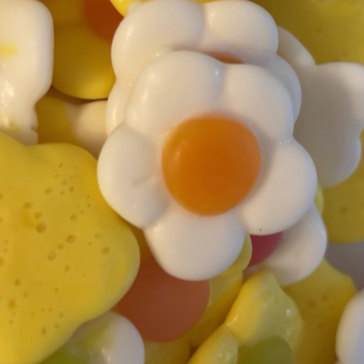 Marguerites lisses (50 gr ou 100 gr)